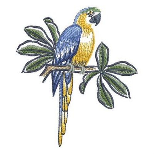 Blue macaw parrots embroidery designs machine embroidery designs at Blue macaw parrots embroidery designs machine embroidery designs at