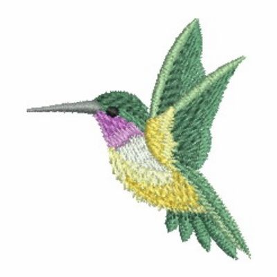 Download Watercolor Hummingbird Embroidery Designs Machine Embroidery Designs At Embroiderydesigns Com