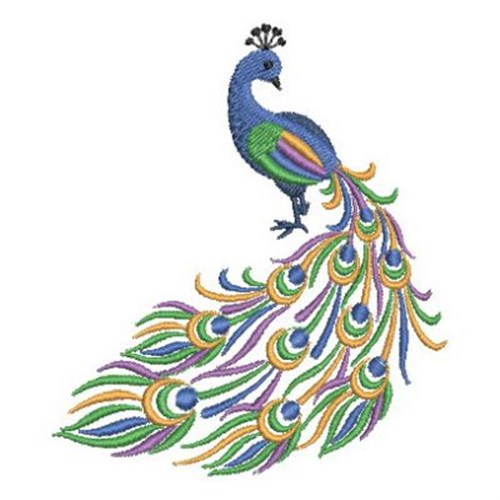 Plume Peacock Embroidery Designs, Machine Embroidery Designs at ...
