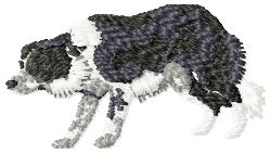 Border Collie Embroidery Design