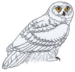 Download Snowy Owl Embroidery Designs, Machine Embroidery Designs ...