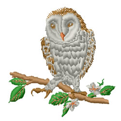 Download Barn Owl Embroidery Designs, Machine Embroidery Designs at ...