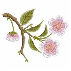 Free Embroidery Design Cherry Blossom  I Sew Free