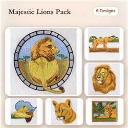 Africa Lion 2