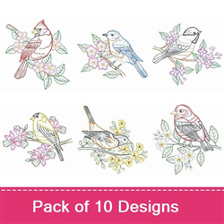 Birds & Branches Embroidery Transfers - 897701002101