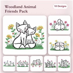 Best Friends Outline