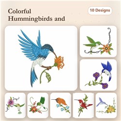 Elegant Hummingbirds