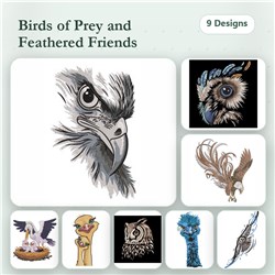 Birds