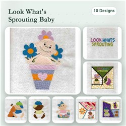 Sprout Babies