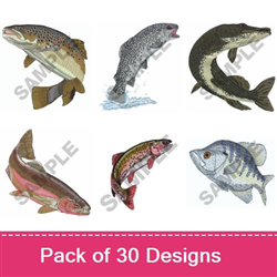 RAINBOW TROUT Embroidery Design