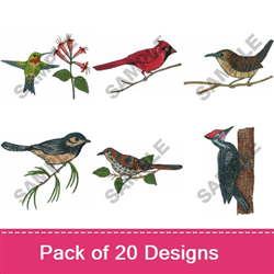 Backyard Birds 1