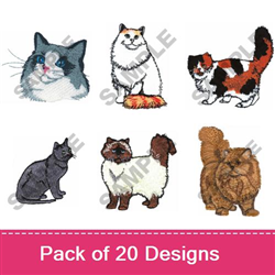 Cats II