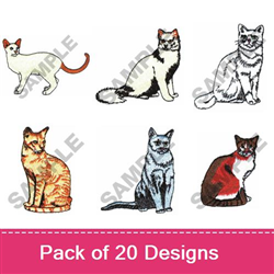 Cats1