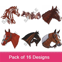 Exsquisite Equines
