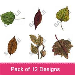 Pressed Leaves 1