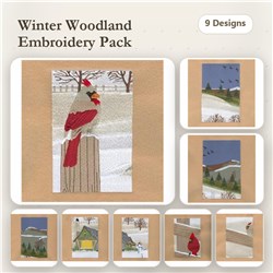 Winter Cabin Scene
