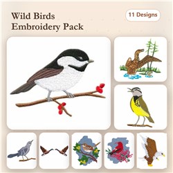 Beautiful Birds