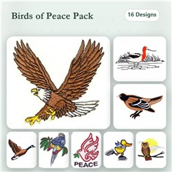 Fly With Birds!