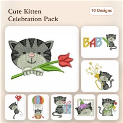 Cute Kitten