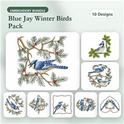 Winter Blue Jay 3