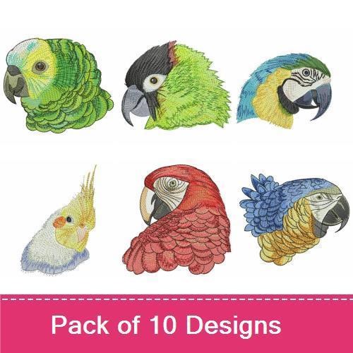 Colorful Parrot Heads Embroidery Bundle – Macaw, Cockatoo, African Grey & More (10 Designs)