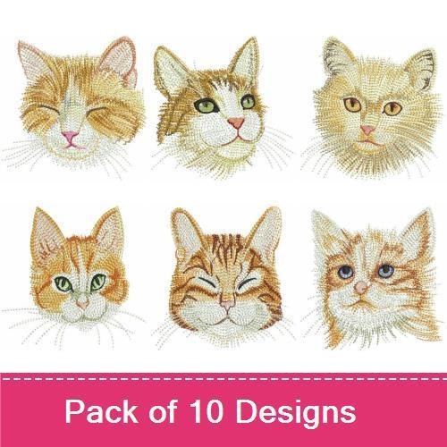 Cats
