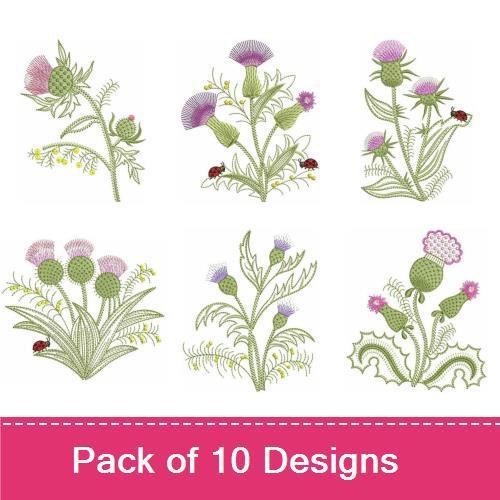 Thistle Delight
