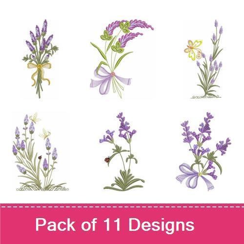 Lavender Delight