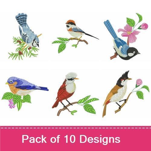 Birds Collection 2