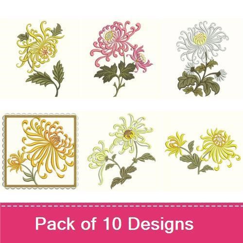 Chrysanthemum Flowers Embroidery Designs Bundle – Yellow, Pink, White Blossoms & More (10 Designs)
