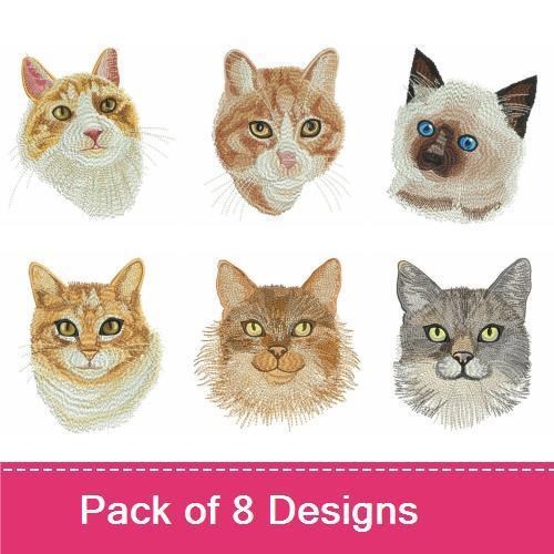 Cats 2