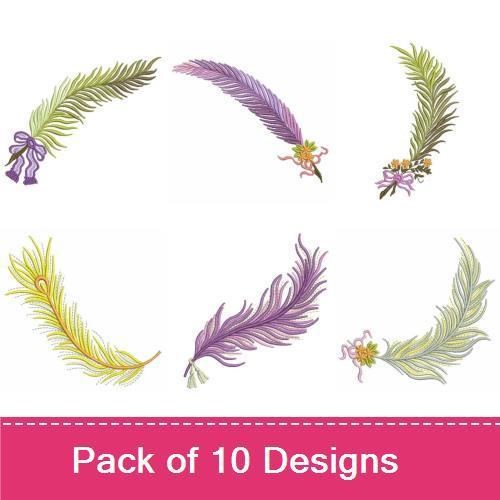 Colorful Feathers