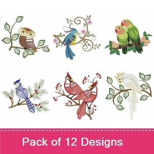 Elegant Birds Embroidery Designs Bundle – Peacock, Blue Bird, Owl, Lovebirds & More (12 Designs)