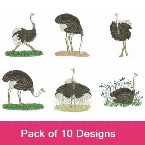 Ostrich Life Embroidery Bundle – Standing Ostrich, Ostrich Nesting, Ostrich Chick & More (10 Designs)