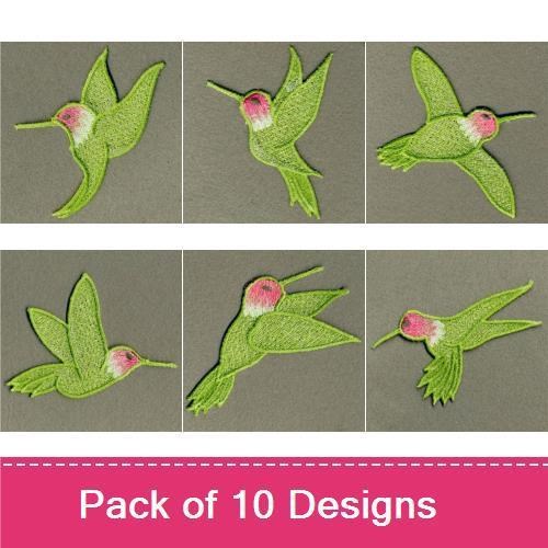 FSL Hummingbird