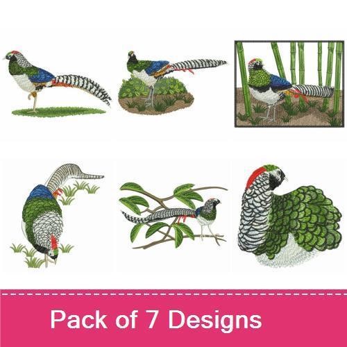 Pheasant