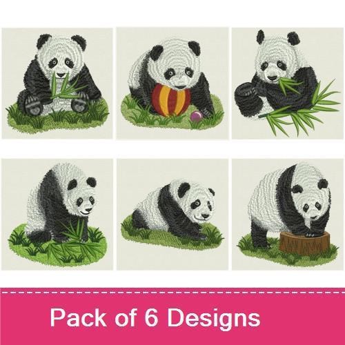 Giant Panda