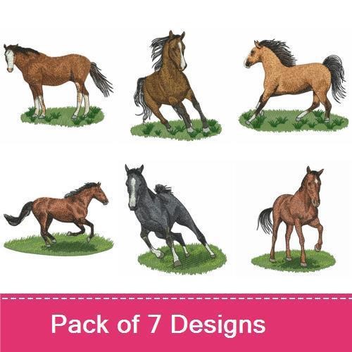 Realistic Horses