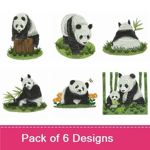 Giant Panda 2