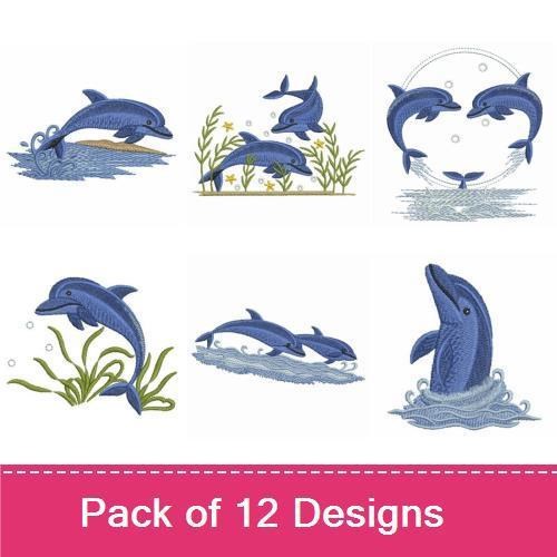 Cute Dolphins 3
