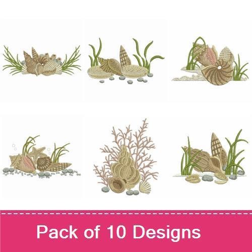Seashells 2