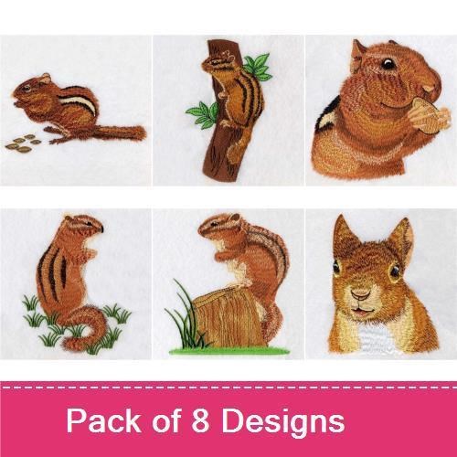 Chipmunks Embroidery Bundle – Chipmunk Eating Nut, Chipmunk on Log, Standing Chipmunk & More (8 Designs)