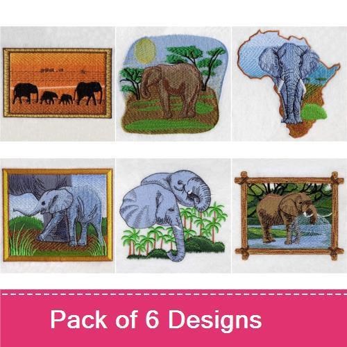African Elephant
