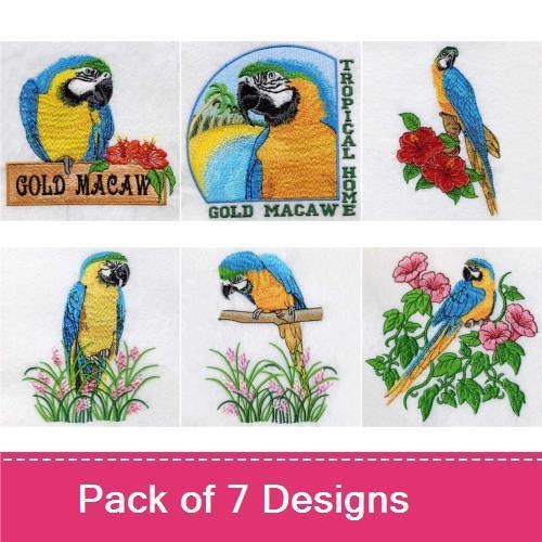 Blue and Yellow Macaw