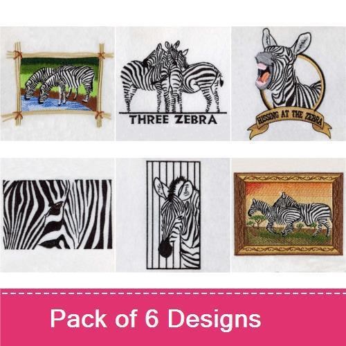 African Zebra 2