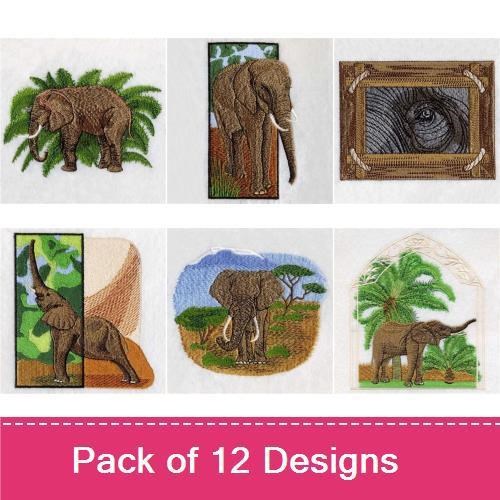 African Elephants 2