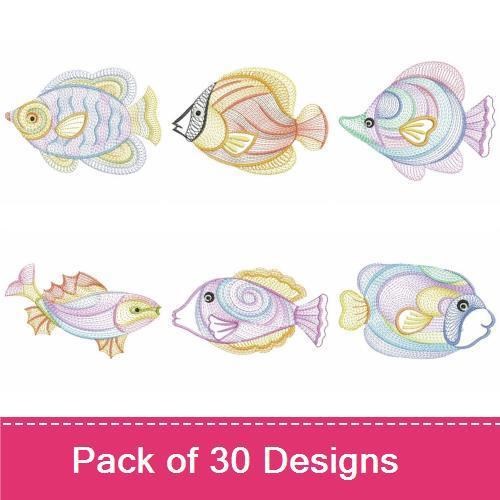 Rippled Tropical Fish
