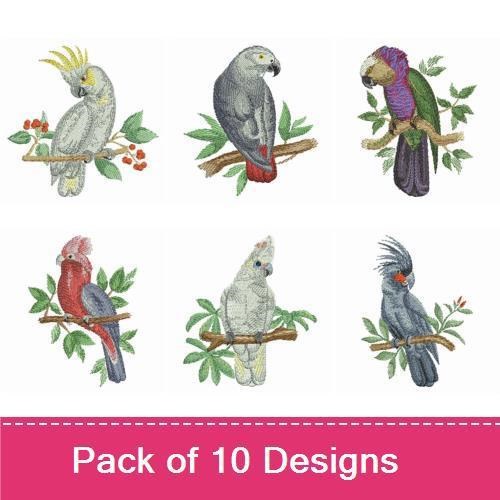 Colorful Parrots Embroidery Designs Bundle – Scarlet Macaw, Cockatoo, Gray Parrot & More (10 Designs)