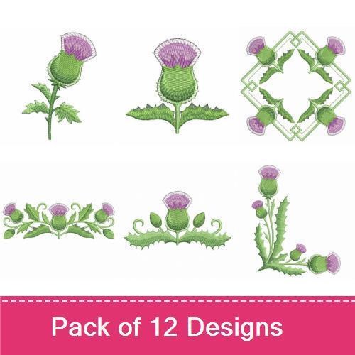 Blooming Thistle