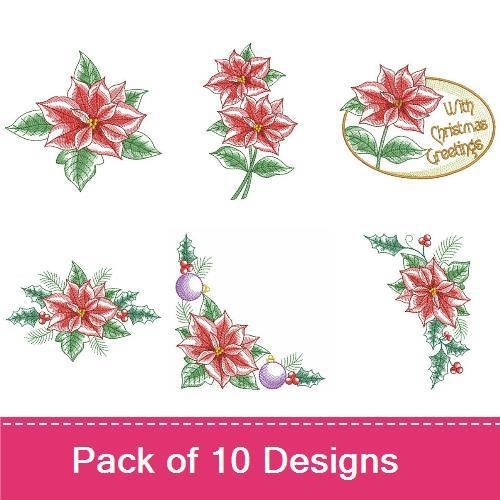 Elegant Poinsettia